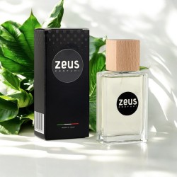 Profumo da uomo - Z0058 2