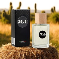 Profumo da uomo - Z0023 2